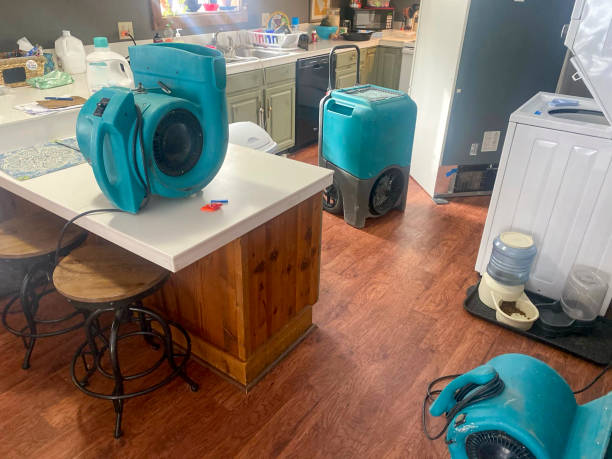 Best Mold removal after water damage  in Garrison, MD