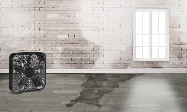 Best Sewage cleanup and water damage restoration  in Garrison, MD