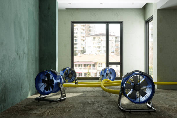 Professional Water damage restoration in MD